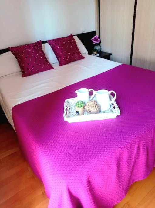 韦斯卡Acogedor Apartamento Con Piscina Y Garaje公寓 外观 照片